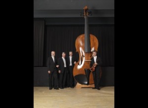 Largest Violin