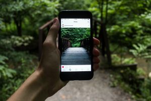 Instagram - Wooden Bridge