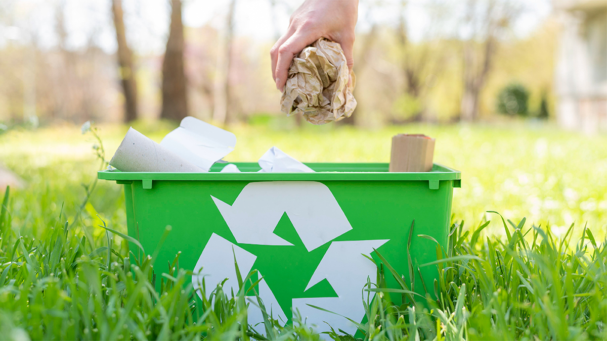 How to “Go Green” in College